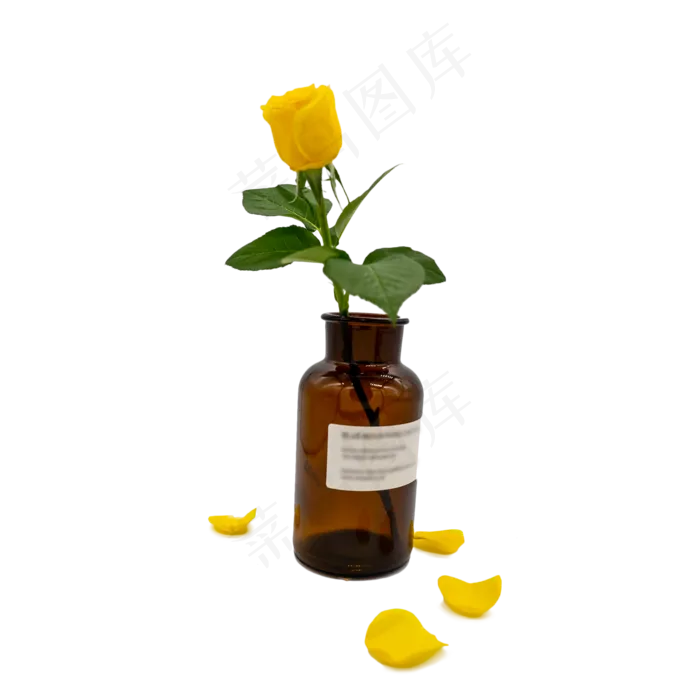 黄色玫瑰花绿叶花瓶(2000*2000px 300 dpi )