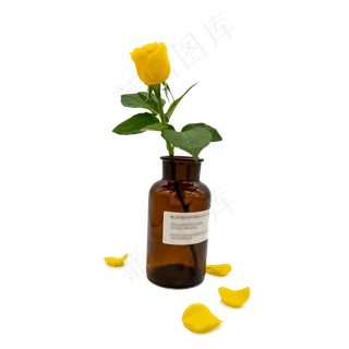 黄色玫瑰花绿叶花瓶