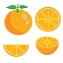 扁平风可爱橙子素材元素