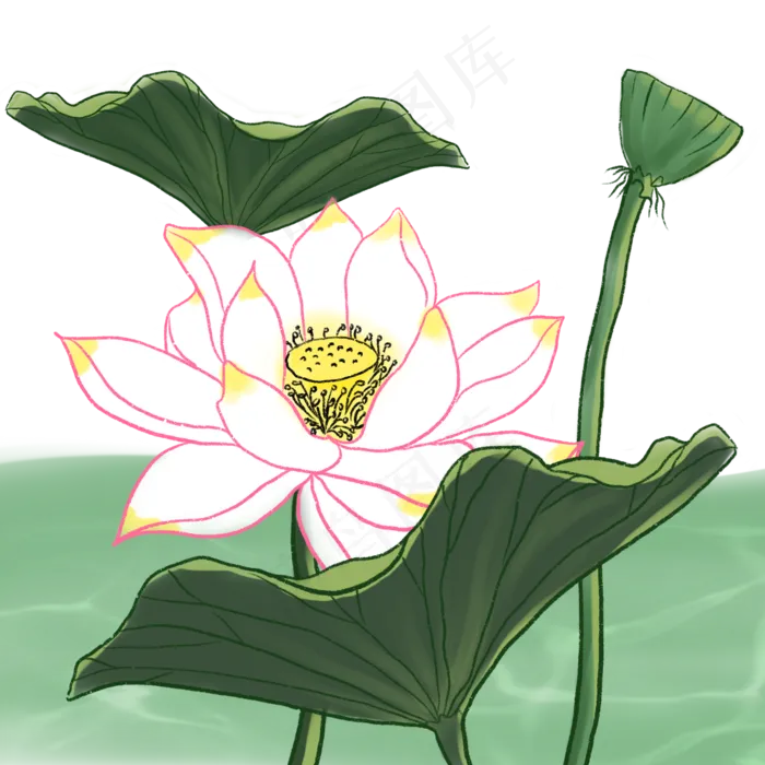 荷花夏日荷塘景色国画(2000X2000(DPI:300))psd模版下载