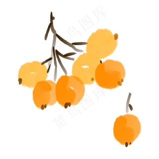 中国风夏季枇杷