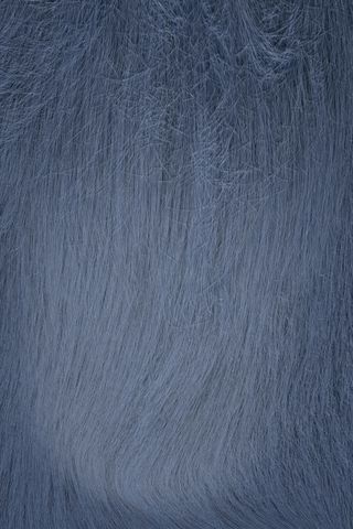 蓝色动物皮毛底纹