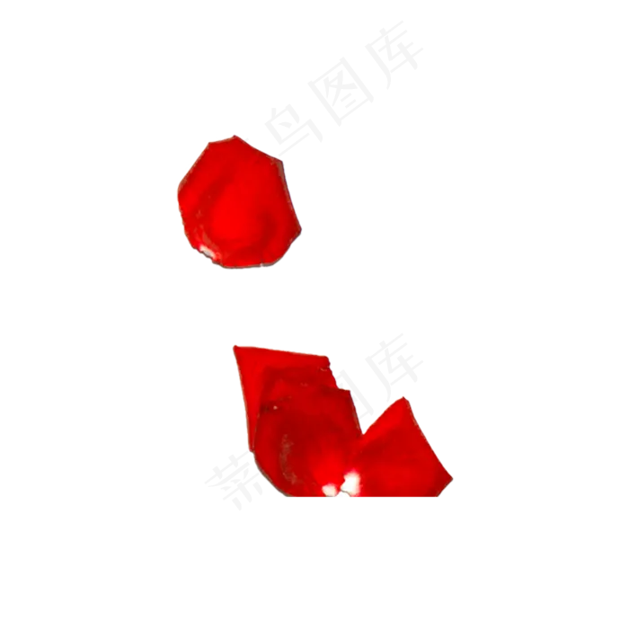 玫瑰花瓣实拍（png免抠）(2000*2000px 72 dpi )psd模版下载