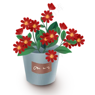 红色花盆栽,免抠元素