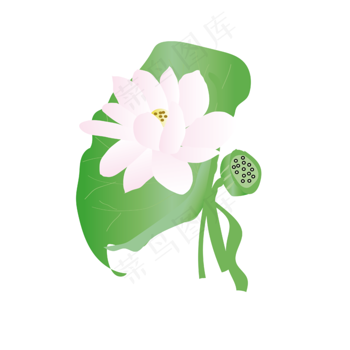 矢量手绘荷花荷叶(4167*4167px 300 dpi )ai矢量模版下载