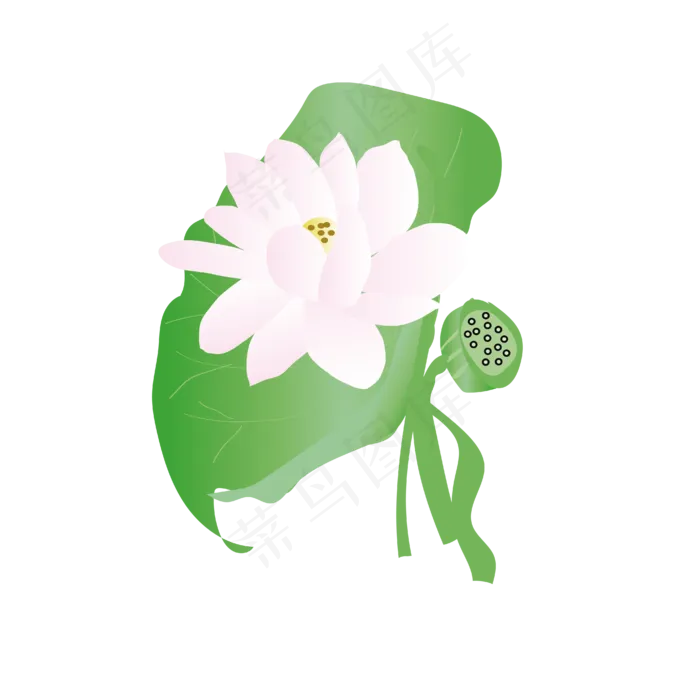 矢量手绘荷花荷叶(4167*4167px 300 dpi )ai矢量模版下载