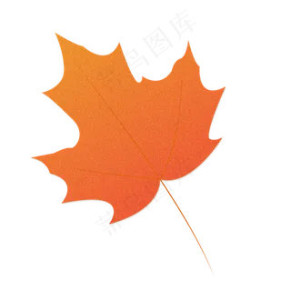 红色的枫叶手绘设计图,免抠元素