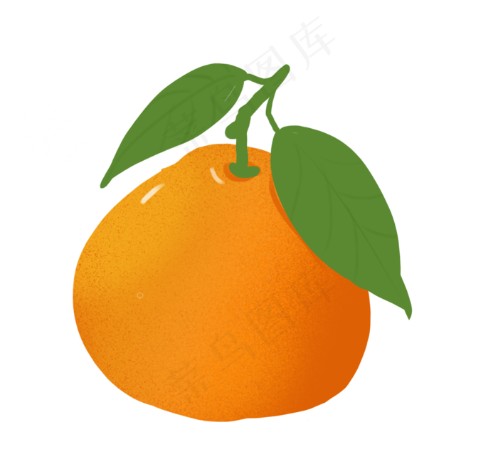 水果橙子橘子插画