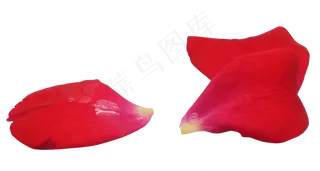 红色玫瑰花瓣