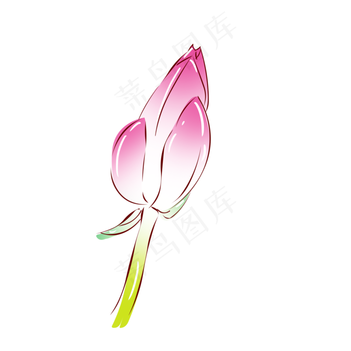 花植物粉色荷花花苞(2000X2000(DPI:300))psd模版下载