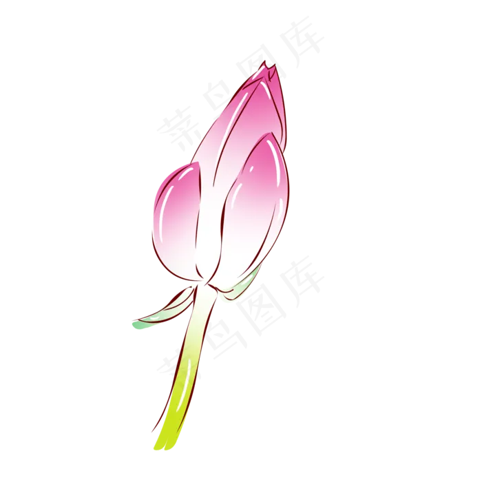 花植物粉色荷花花苞(2000X2000(DPI:300))psd模版下载
