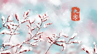 二十四节气之大寒