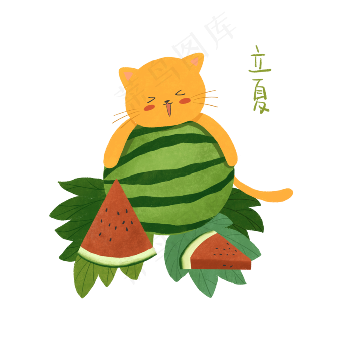 立夏节气猫咪西瓜PNG夏日水果