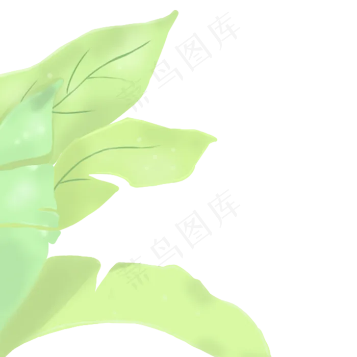 春天植物绿叶下载(2000X2000(DPI:300))psd模版下载