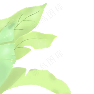春天植物绿叶下载