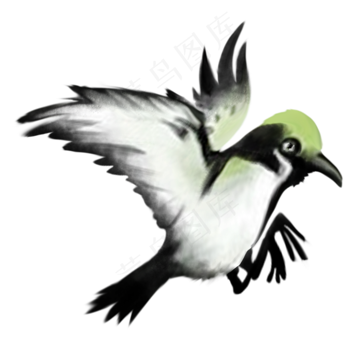 中国风动物小鸟