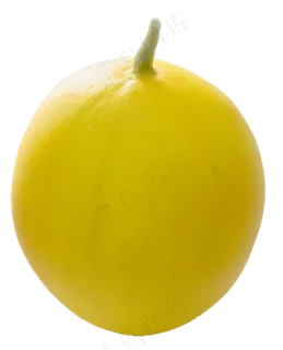 美味的甜瓜 美味的甜瓜