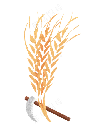 芒种金色丰收小麦