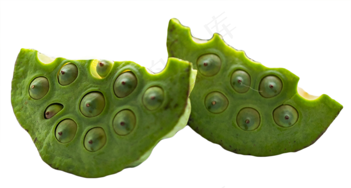 莲子莲蓬(2238X1200(DPI:300))psd模版下载