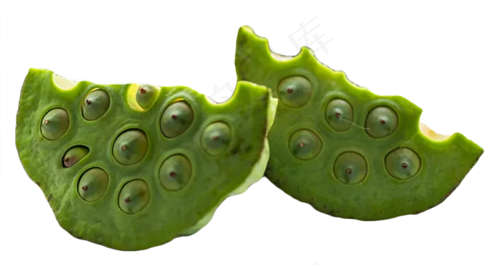 莲子莲蓬(2238X1200(DPI:300))psd模版下载