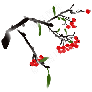 水墨绿叶红色果实
