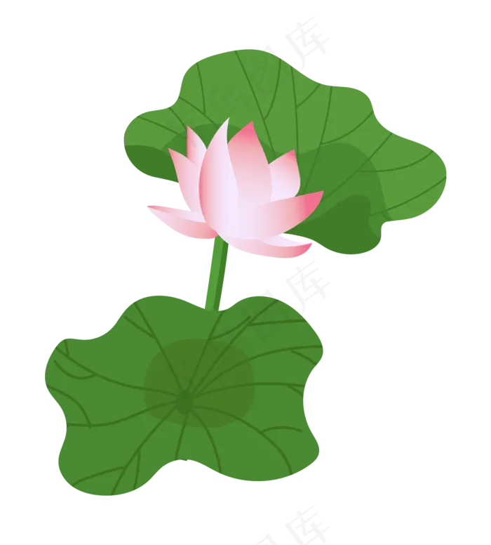 中国风粉色荷花插图(2000*2217px 300 dpi )ai矢量模版下载