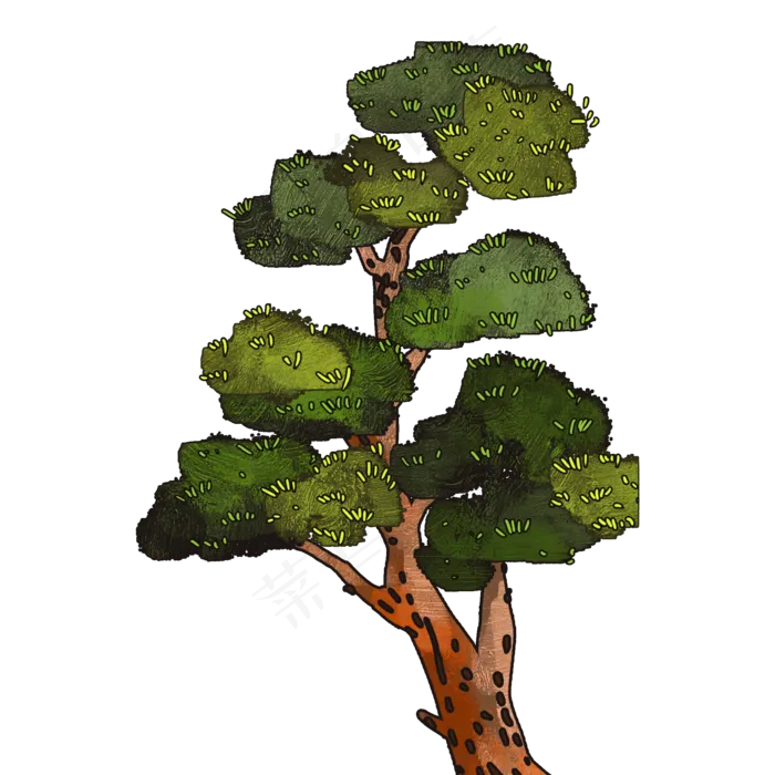 绿色植物松树(2000X2000(DPI:300))psd模版下载
