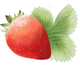 水果草莓叶子