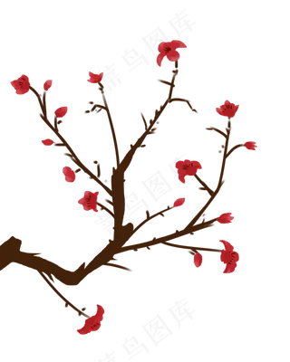 一枝红色木棉花插图