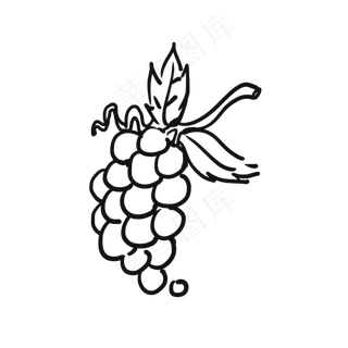 手绘线性葡萄水果绘制线条