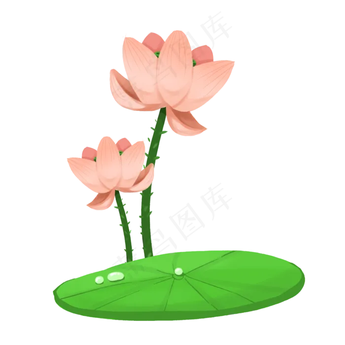 荷花卡通(2000X2000(DPI:300))psd模版下载