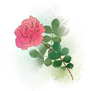 泼墨花卉玫瑰