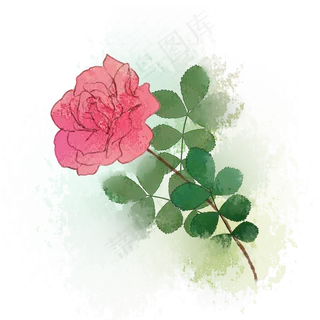 泼墨花卉玫瑰