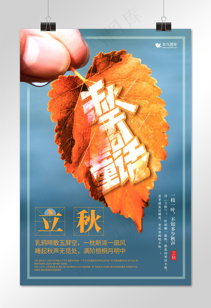 立秋树叶橙色创意海报