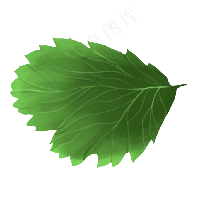 卡通树叶装饰插图