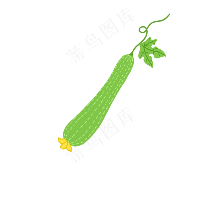 新鲜生鲜丝瓜PNG(2000X2000(DPI:300))psd模版下载