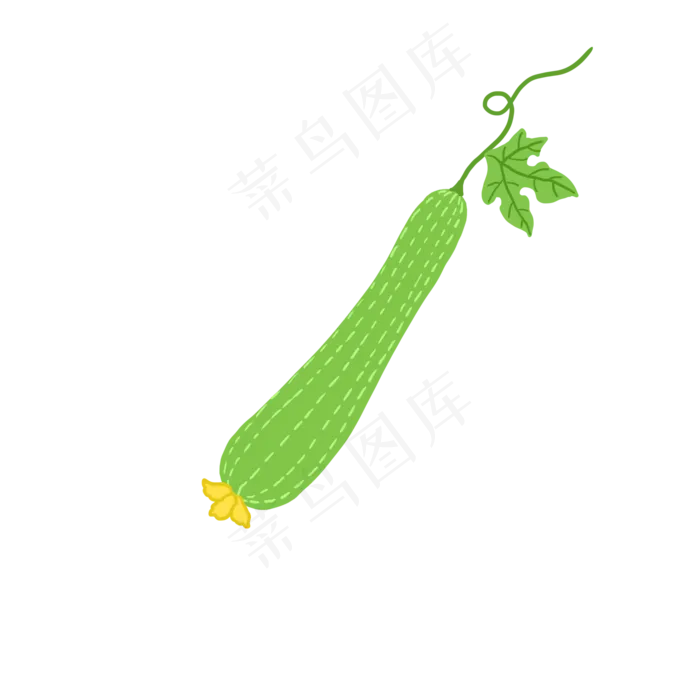 新鲜生鲜丝瓜PNG(2000X2000(DPI:300))psd模版下载