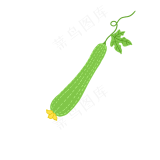 新鲜生鲜丝瓜PNG