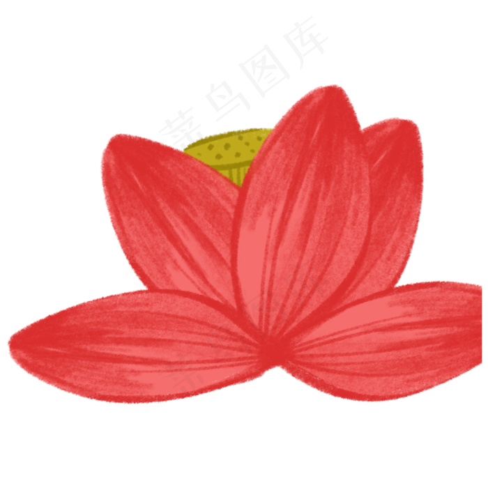 唯美粉色荷花(2000X2000(DPI:300))psd模版下载
