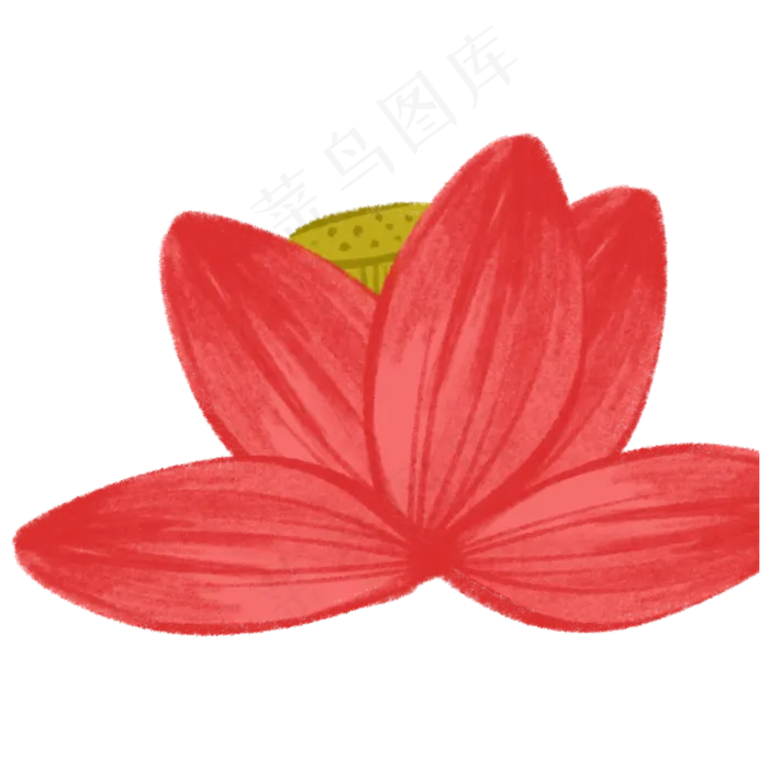 唯美粉色荷花(2000X2000(DPI:300))psd模版下载