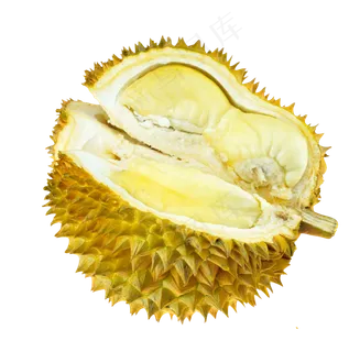 水果香甜榴莲