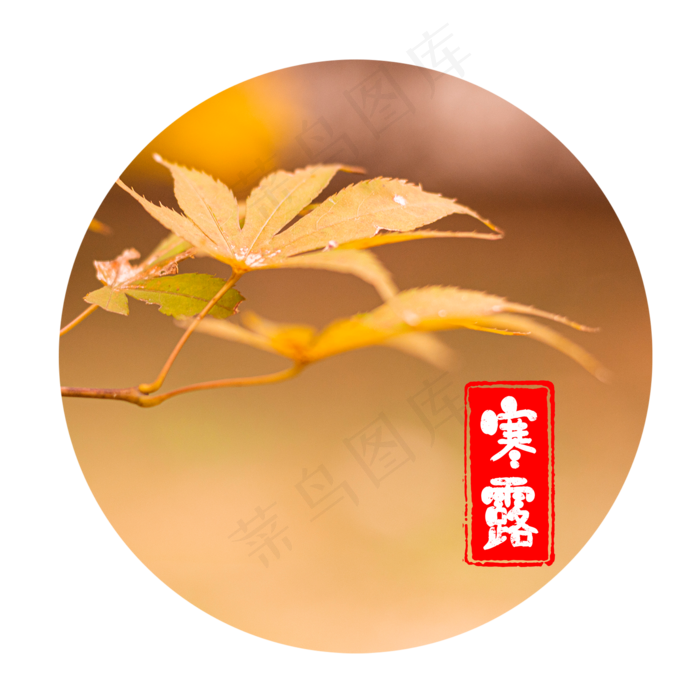 寒露节气气温下降,免抠元素(2000*2000px 300 dpi )psd模版下载