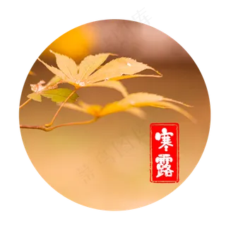 寒露节气气温下降,免抠元素