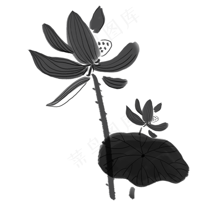 卡通黑色的毛笔画荷花免扣图
