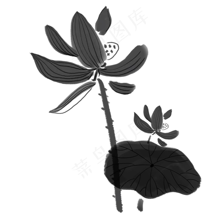 卡通黑色的毛笔画荷花免扣图(2000X2000(DPI:300))psd模版下载