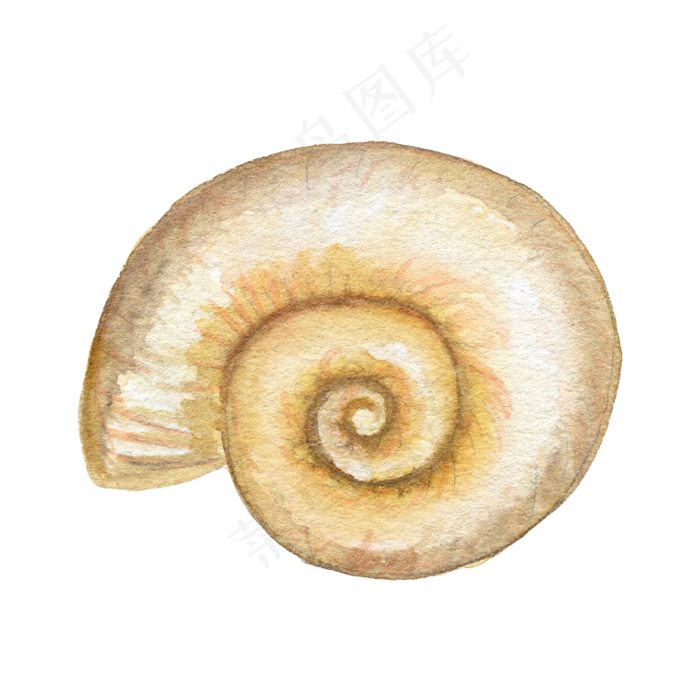 卡通手绘水彩夏日海边海螺