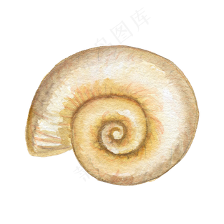 卡通手绘水彩夏日海边海螺