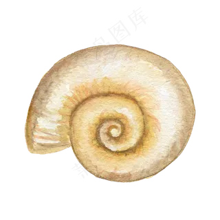 卡通手绘水彩夏日海边海螺