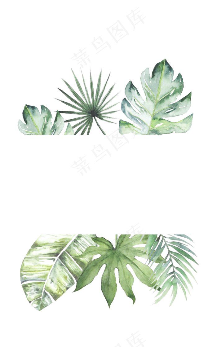 夏日龟背竹清新边框(2500X4000(DPI:300))psd模版下载
