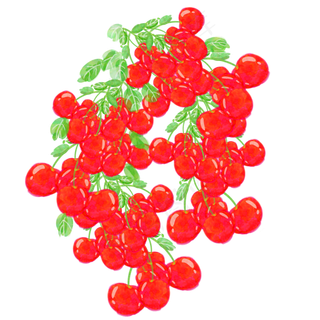 水彩风格手绘水果樱桃